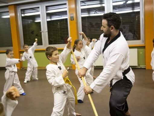 Taekwondo (4-7 Jahre)